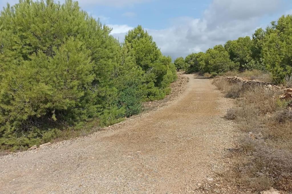 Bungalow En Primera Linea Del Mar Arenales del Sol Εξωτερικό φωτογραφία