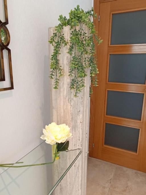 Bungalow En Primera Linea Del Mar Arenales del Sol Εξωτερικό φωτογραφία