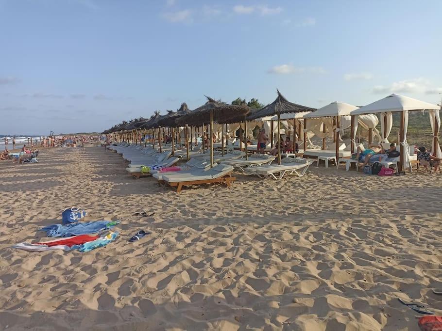 Bungalow En Primera Linea Del Mar Arenales del Sol Εξωτερικό φωτογραφία